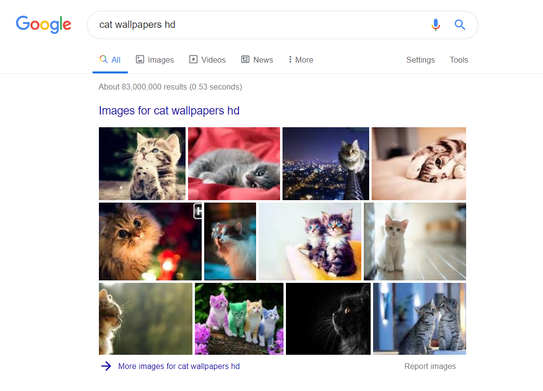 Google Image Results for Cats