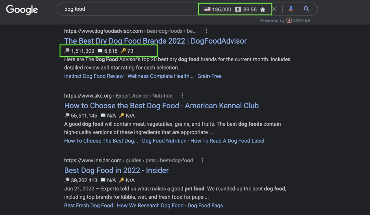 覆盖了关键字 Surfer 数据的 Google 搜索屏幕截图