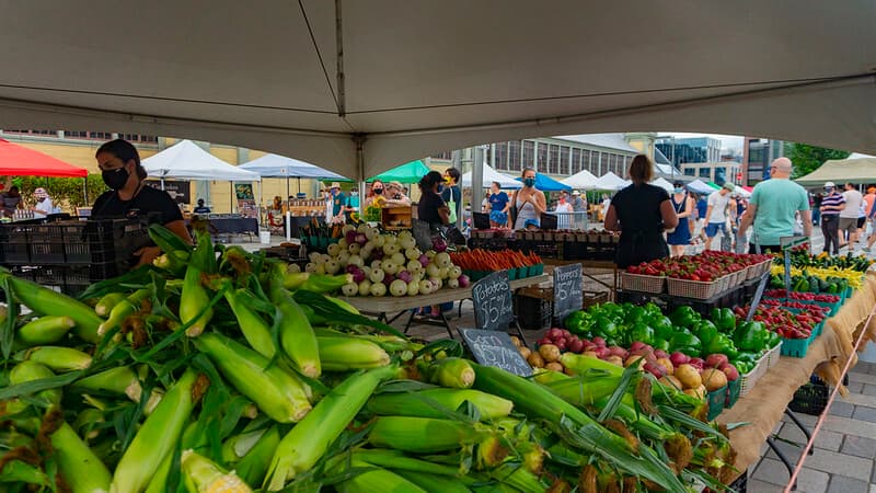 当地新鲜食品市场，玉米棒