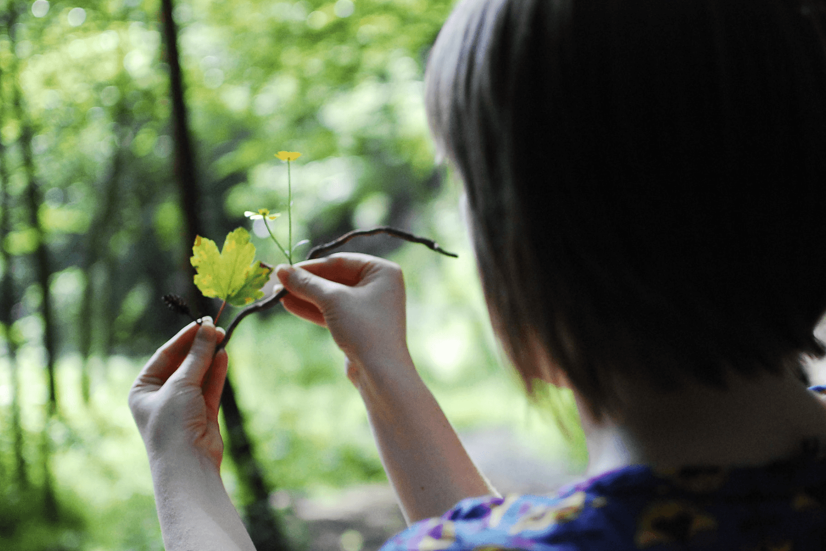 一个女人举起散落的树枝、树叶和野花，看看她能用它们做什么。