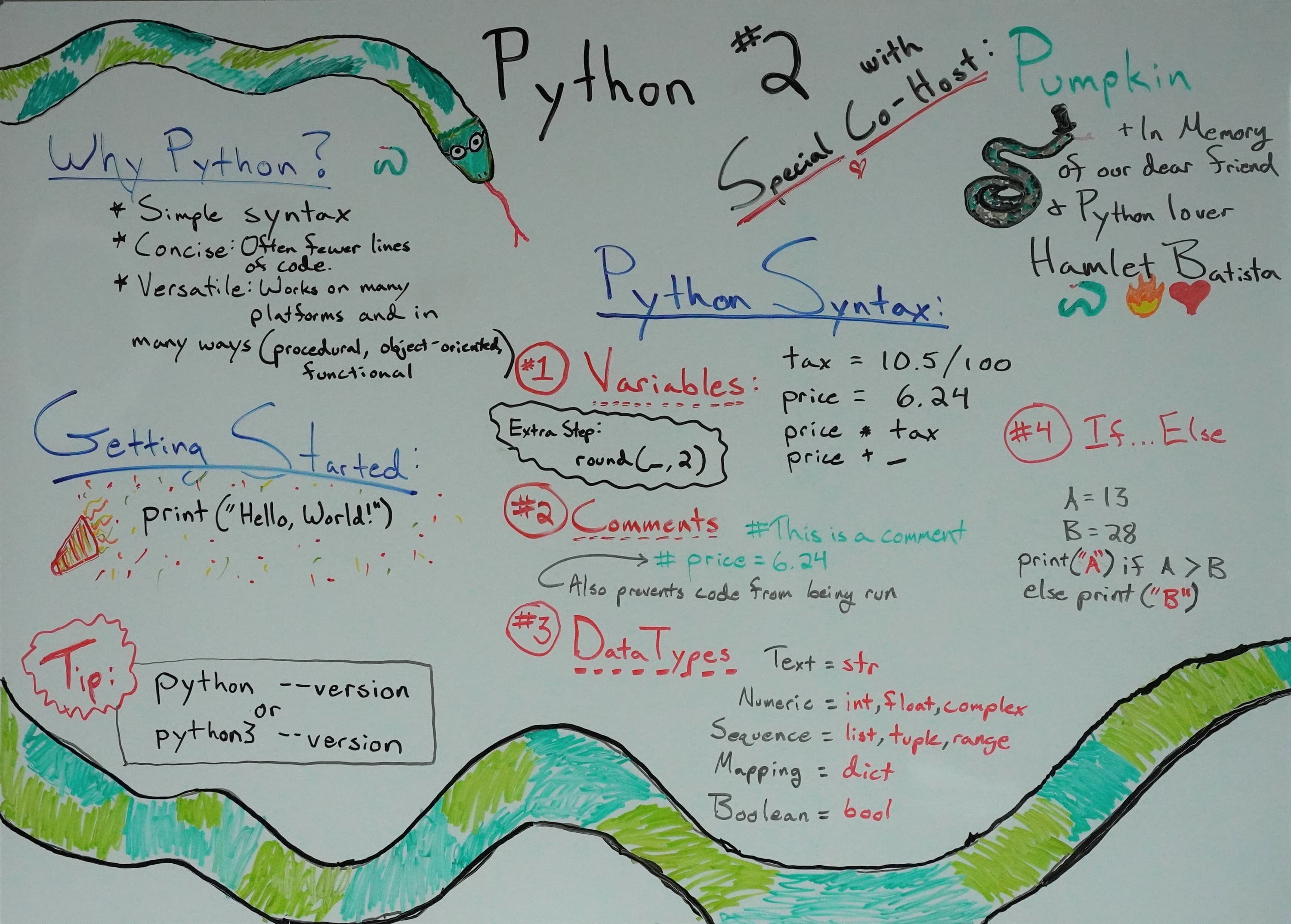 概述 Python 基础知识的白板照片。