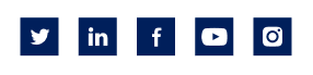 Twitter、LinkedIn、Facebook、YouTube 和 Instagram 的社交图标。