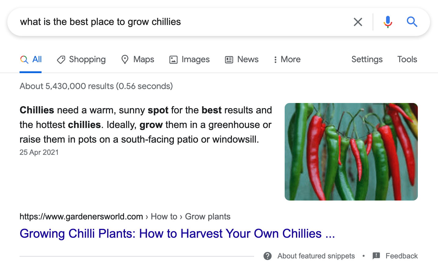谷歌 SERP 中的搜索词“什么是种植辣椒的最佳地点？”