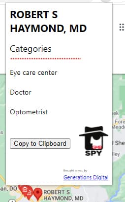 使用 GMB Spy 检查本地类别。